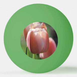 Roze tulpen pingpongballen