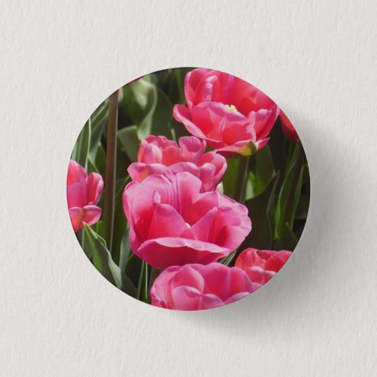 Roze tulpen ronde button 3,2 cm (Voorkant)