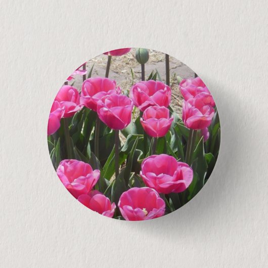 Roze tulpen ronde button 3,2 cm (Voorkant)