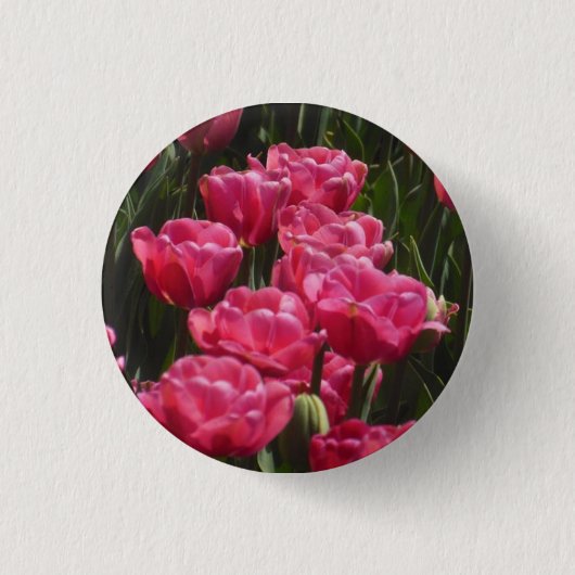 Roze tulpen ronde button 3,2 cm (Voorkant)