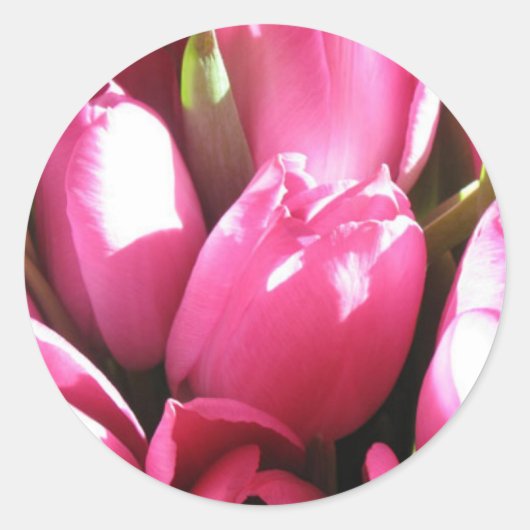 Roze tulpen ronde sticker (Voorkant)