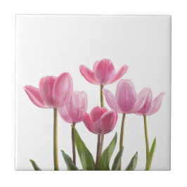 Roze tulpen tegeltje