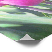 roze Tulpen Tuin Art Poster (Hoek)