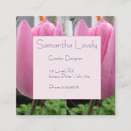 Roze Tulpen Tuinplein St Informatiekaartje