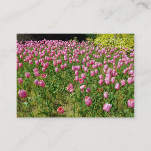 Roze tulpen visitekaartje