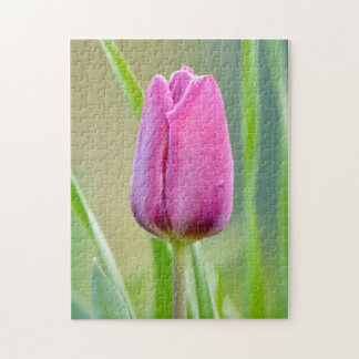 Roze tulpenpuzzel legpuzzel