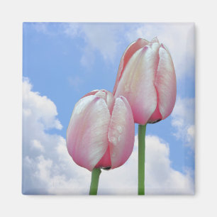 Roze Tulps Blue Sky Floral Magnet Magneet