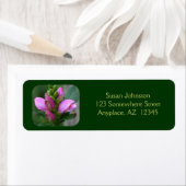 Roze Turtlehead Adres Etiket (Insitu)