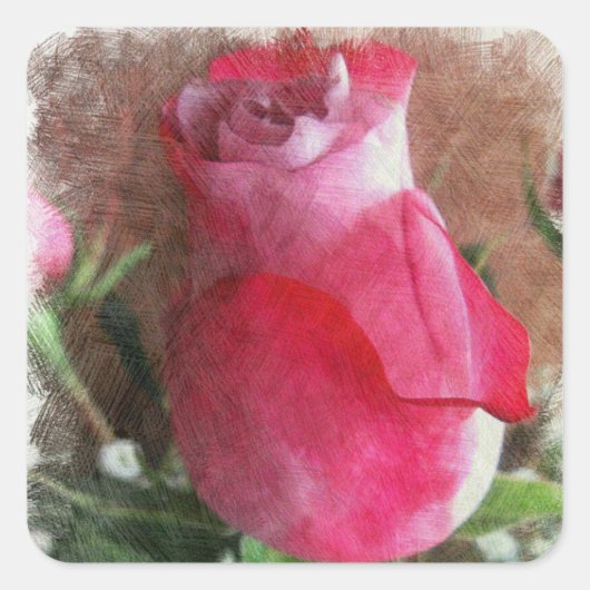 Roze Valentijn Roos Vierkante Sticker (Voorkant)