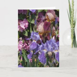 Roze van de Tuin van de iris het Paarse Blauwe Kaart