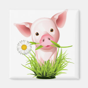 Roze varken in gras magneet