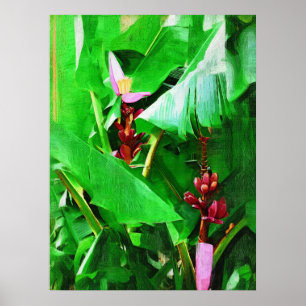 Roze Velvet Banana Tree Tropical Garden Collectie Poster