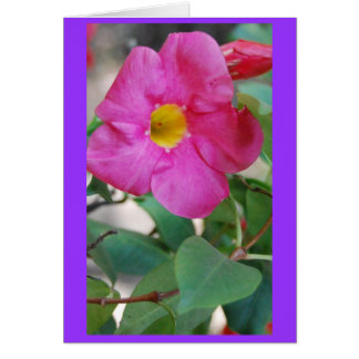 Roze ventilator