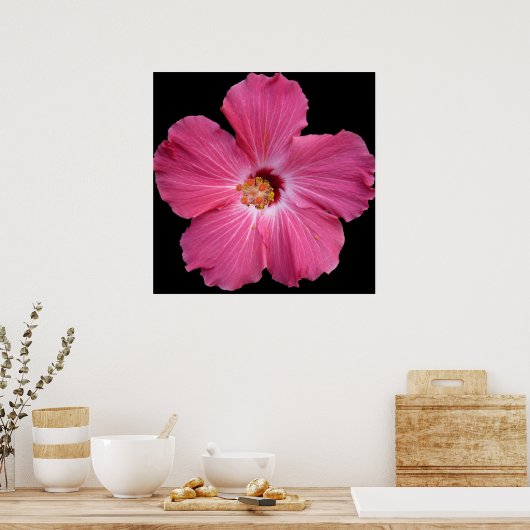 Roze ventilator 24 x 24 Poster (Keuken)