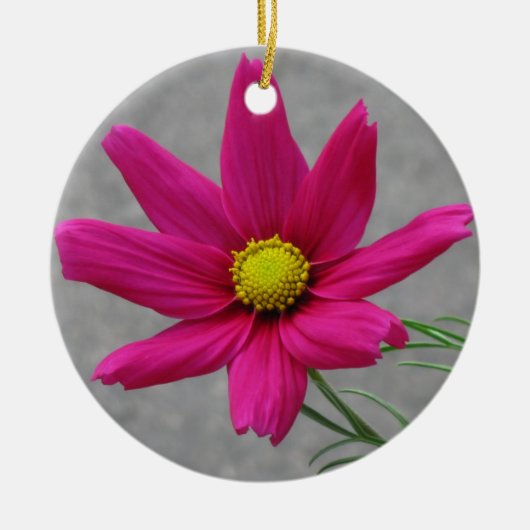 Roze ventilator aangepast ornament (Voorkant)
