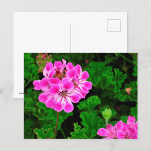 Roze ventilator briefkaart
