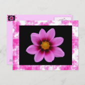 Roze ventilator Briefkaart (Voorkant / Achterkant)