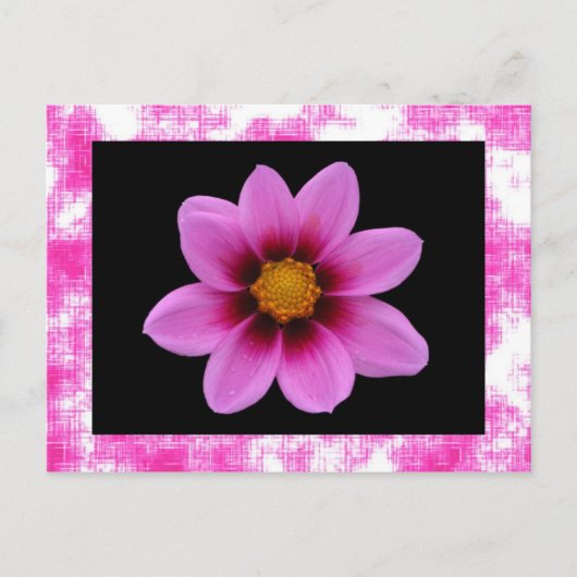 Roze ventilator Briefkaart (Voorkant)