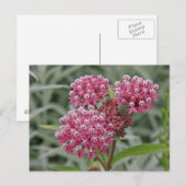Roze ventilator briefkaart (Voorkant / Achterkant)