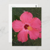 Roze ventilator Briefkaart (Voorkant / Achterkant)