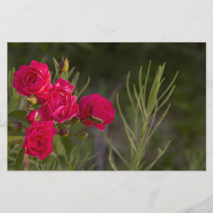 Roze ventilator briefpapier