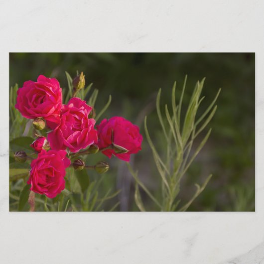 Roze ventilator briefpapier (Voorkant)
