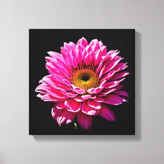 Roze ventilator canvas afdruk (Voorkant)