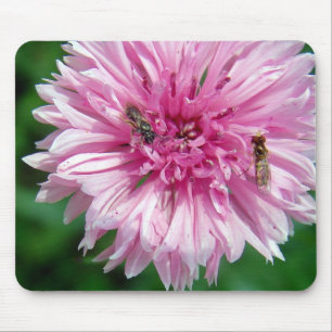 Roze ventilator en insecten muismat