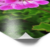 Roze ventilator - foto afdruk (Hoek)