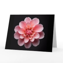 Roze ventilator