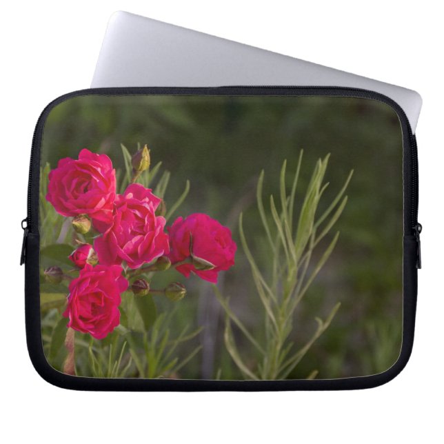 Roze ventilator laptop sleeve (Voorkant)