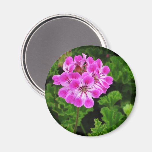 Roze ventilator magneet (Voorkant / Achterkant)
