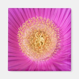 Roze ventilator Magnet Magneet
