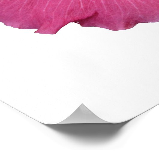 Roze ventilator Poster (Hoek)