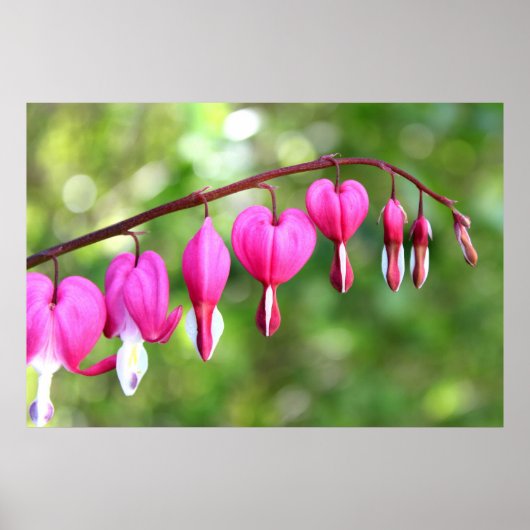 Roze ventilator poster (Voorkant)