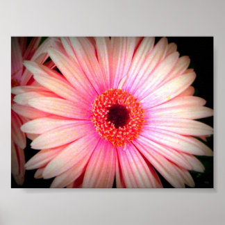Roze ventilator poster