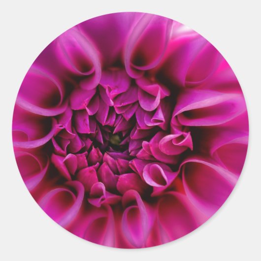 Roze ventilator ronde sticker (Voorkant)