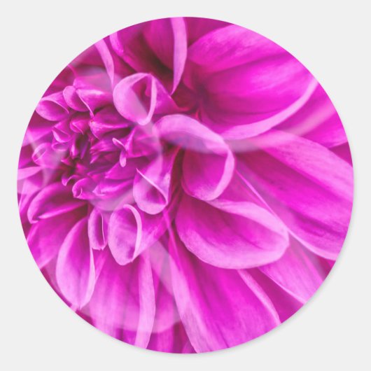 Roze ventilator ronde sticker (Voorkant)