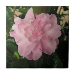 roze ventilator tegeltje
