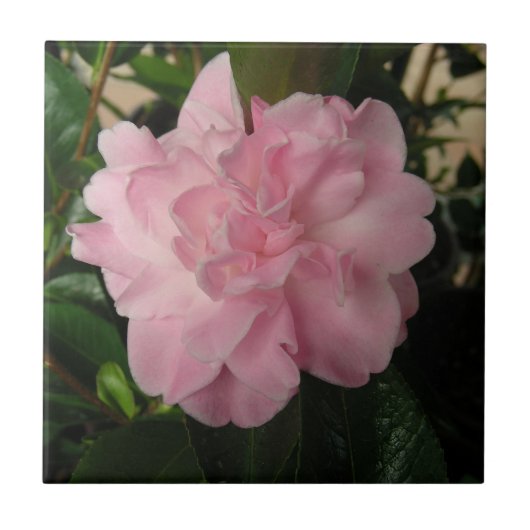  roze ventilator tegeltje (Voorkant)