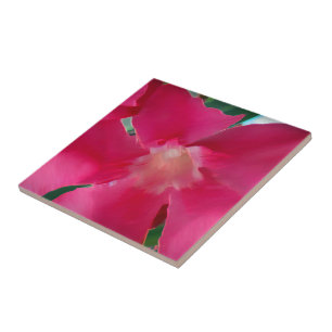 Roze ventilatorbenzine tegeltje