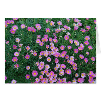 Roze ventilatorkaart