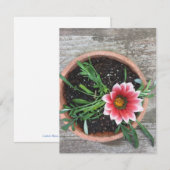 Roze ventilatorkaart kaart (Voorkant / Achterkant)