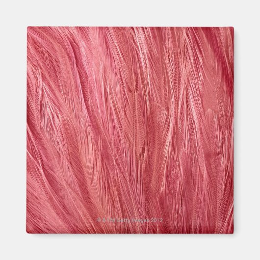 Roze veren magneet (Voorkant)
