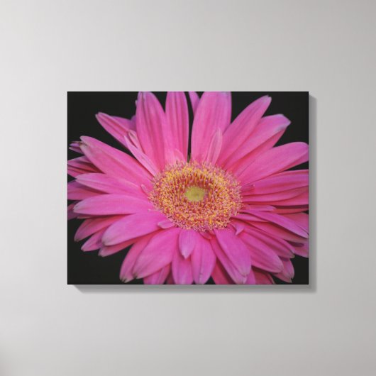 Roze Verpakt Canvas (Voorkant)