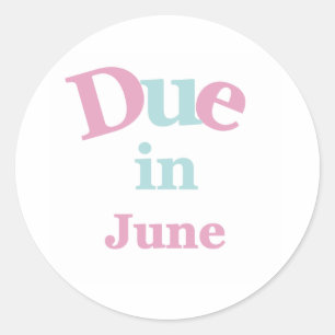 Roze Verschuldigd in juni Ronde Sticker