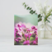 Roze vintage macro bokeh bloem briefkaart (Staand voorkant)