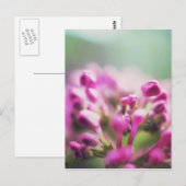 Roze vintage macro bokeh bloem briefkaart (Voorkant / Achterkant)