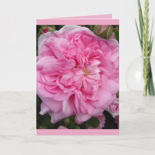 Roze Vintage Roos bloemige Bloemen Verjaardagskaar Kaart