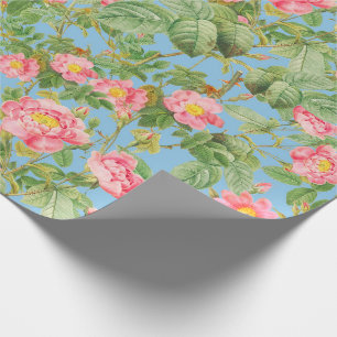 Roze Vintage Roos Cadeaupapier in Hemelblauw
